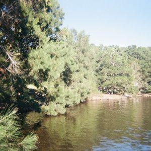 Meet your Posher, Rianna